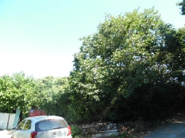 B000520202501300315052.jpg