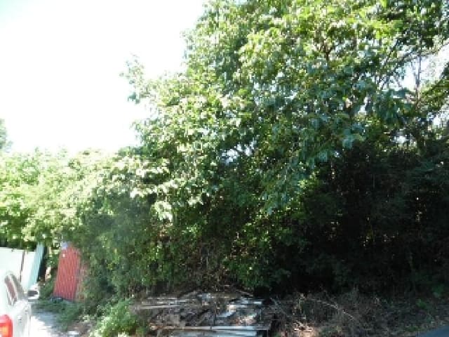 B000520202501300315054.jpg