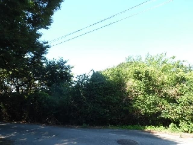 B000520202501300315053.jpg