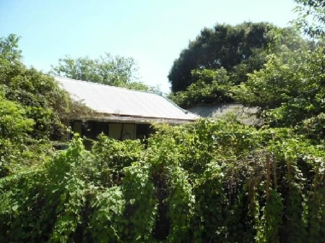 B000520202501300315051.jpg