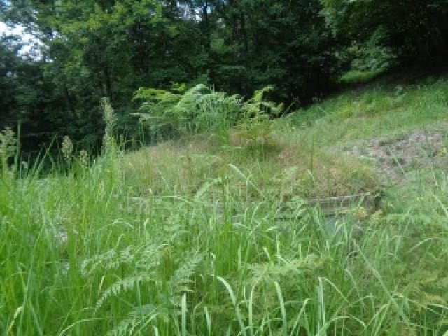 B000520202501300315363.jpg