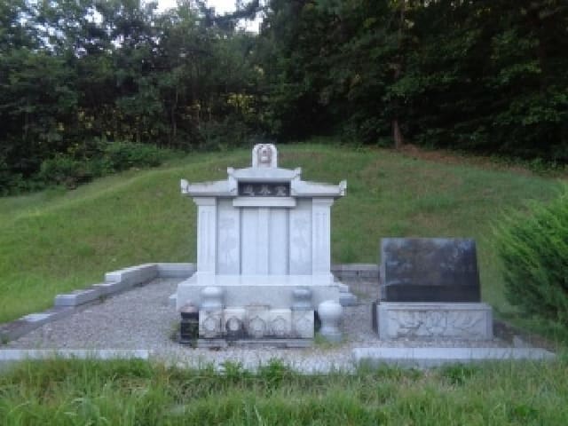 B000520202501300315364.jpg
