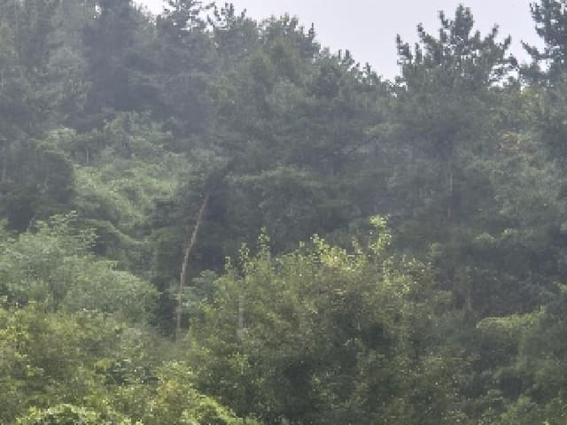 B000520202501300315392.jpg
