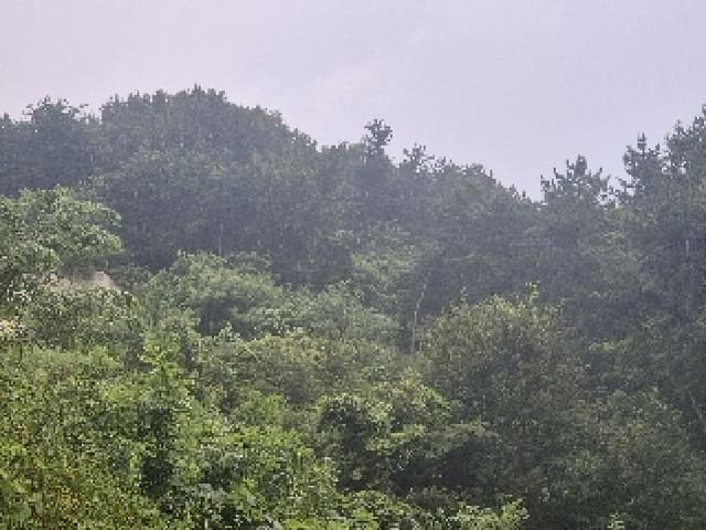 B000520202501300315391.jpg