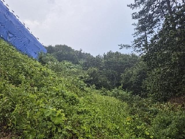 B000520202501300315393.jpg