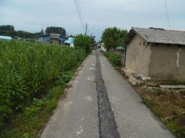 B000520202501300315433.jpg
