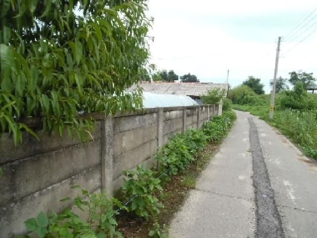 B000520202501300315431.jpg