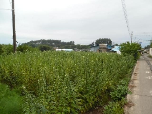 B000520202501300315434.jpg
