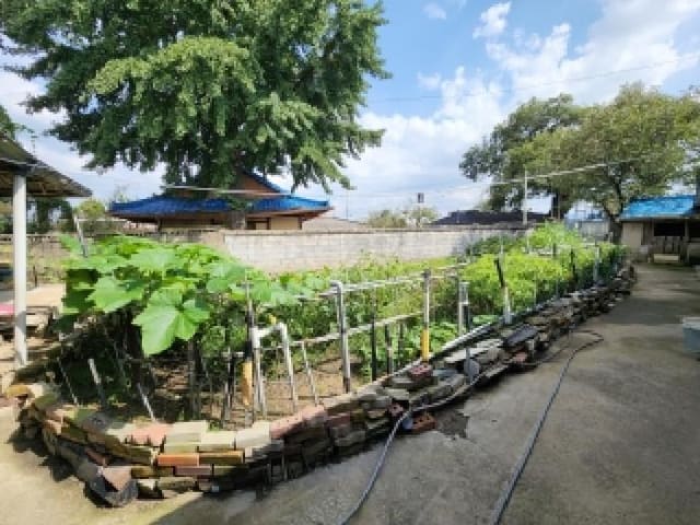 B000520202501300315524.jpg