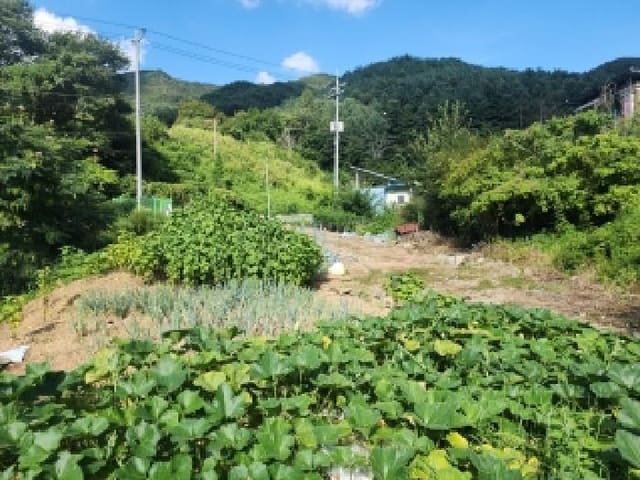 B000520202501300315614.jpg
