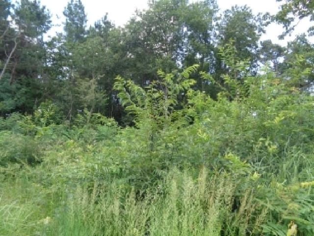 B000520202501300315864.jpg