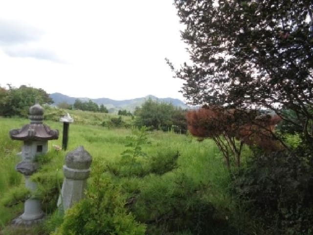 B000520202501300315863.jpg