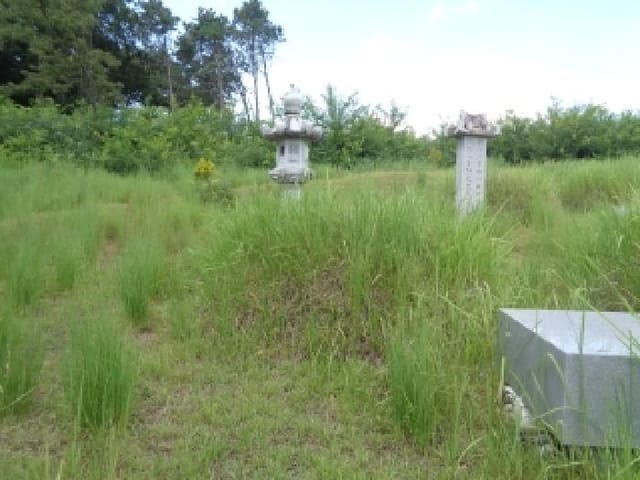 B000520202501300315862.jpg