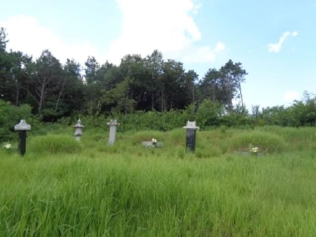 B000520202501300315861.jpg
