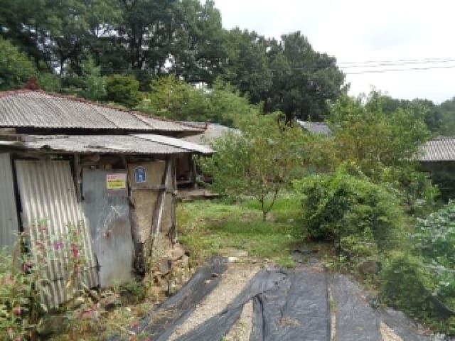 B000520202501300316261.jpg