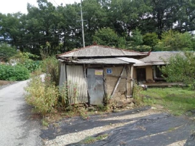 B000520202501300316264.jpg