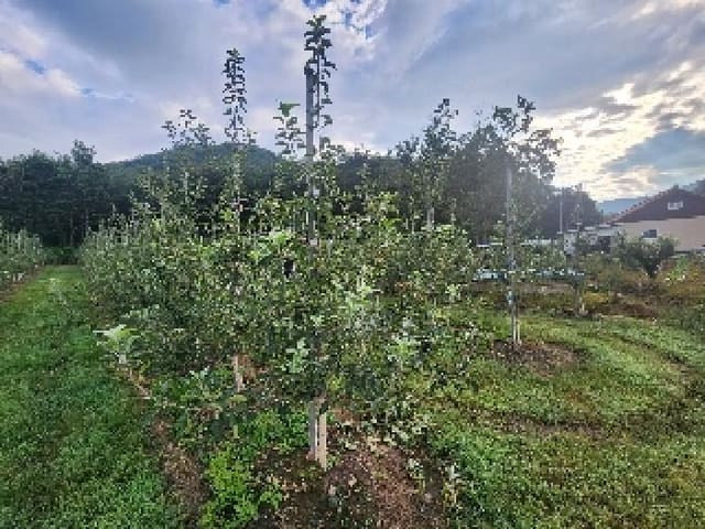 B000520202501300316642.jpg
