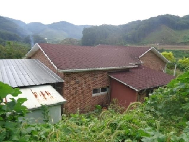 B000520202501300316661.jpg