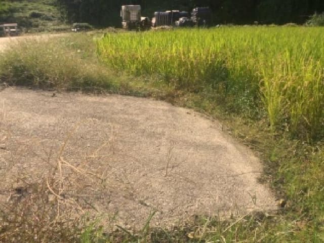 B000520202501300316733.jpg