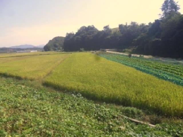 B000520202501300316731.jpg