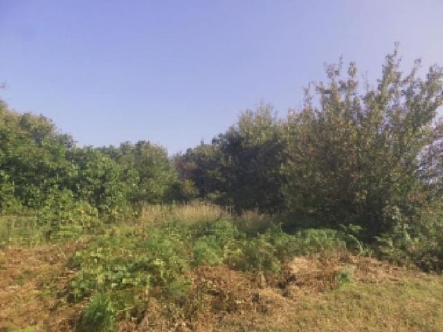 B000520202501300316734.jpg
