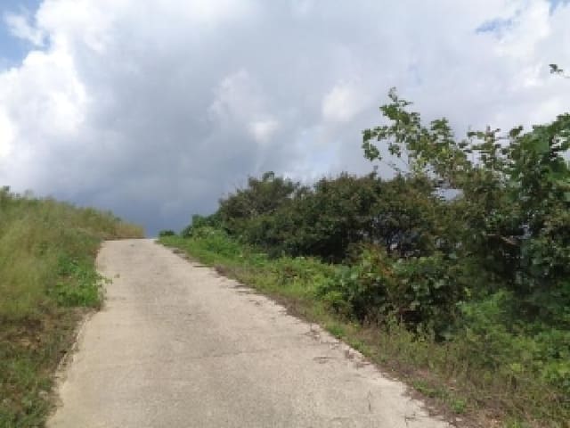 B000520202501300316852.jpg