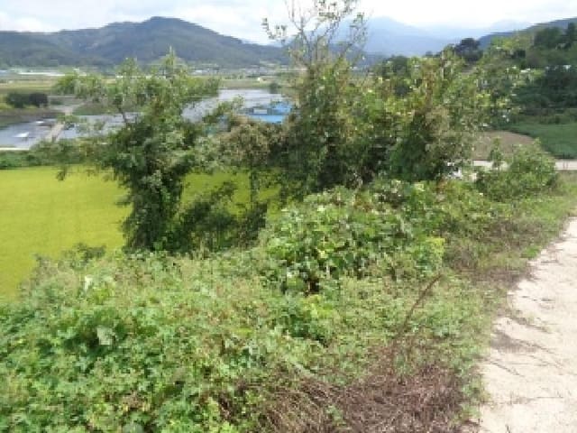 B000520202501300316854.jpg