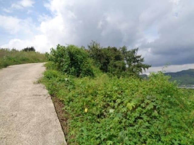B000520202501300316851.jpg