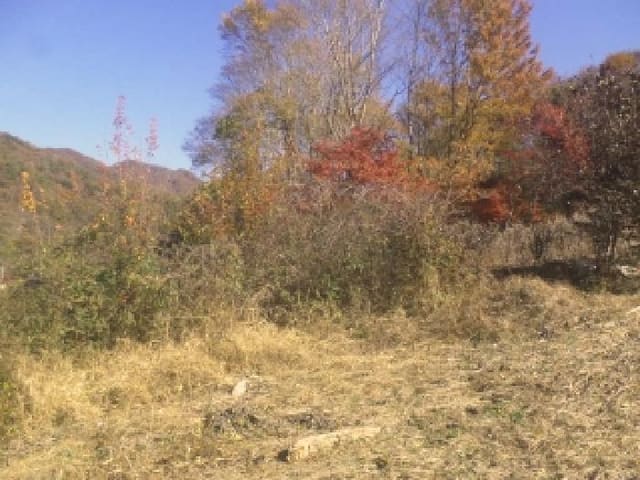 B000520202501300316954.jpg