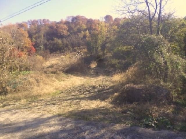 B000520202501300316953.jpg