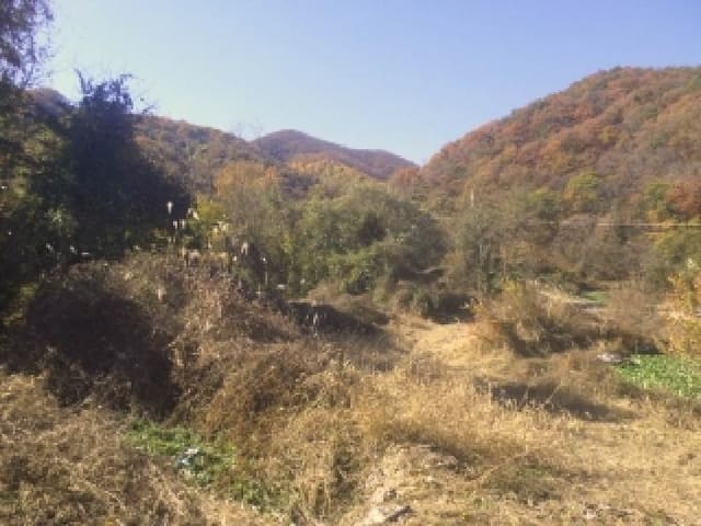 B000520202501300316952.jpg