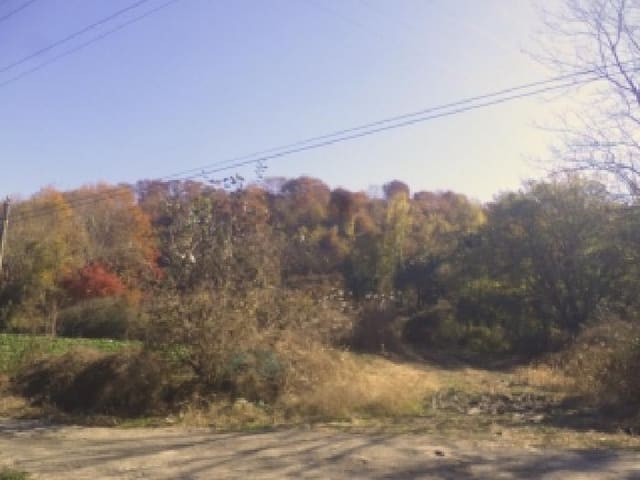 B000520202501300316951.jpg