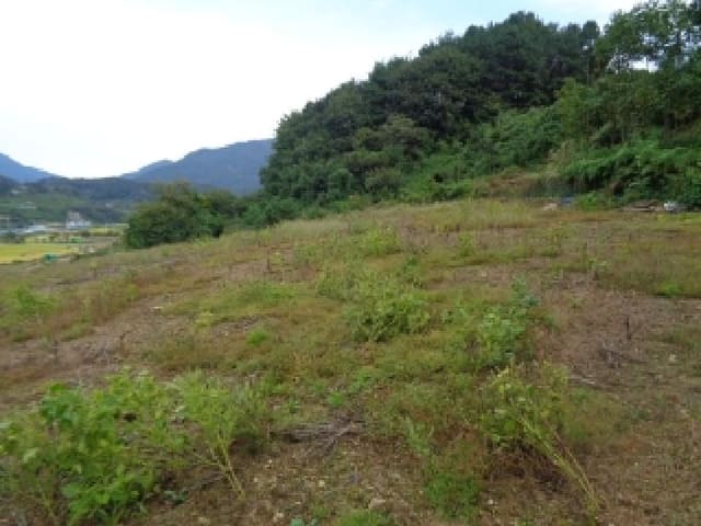 B000520202501300317141.jpg