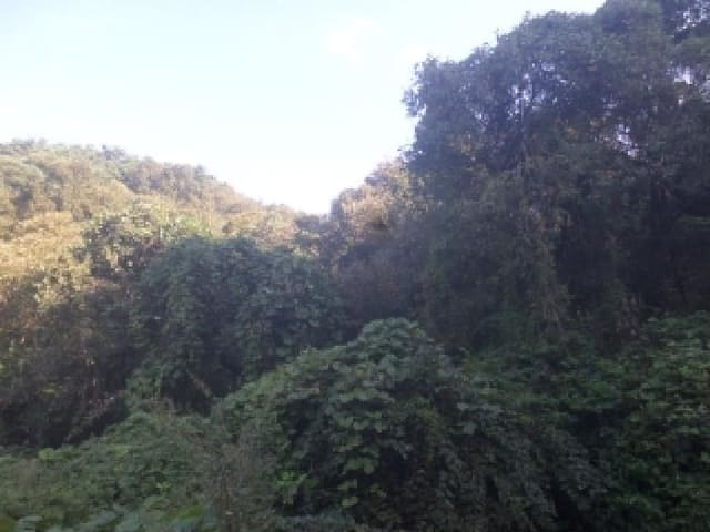 B000520202501300317242.jpg