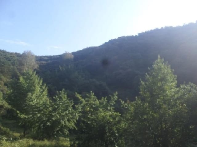 B000520202501300317241.jpg