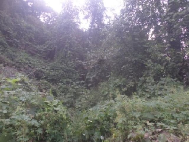B000520202501300317244.jpg