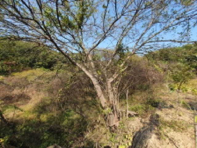 B000520202501300318191.jpg