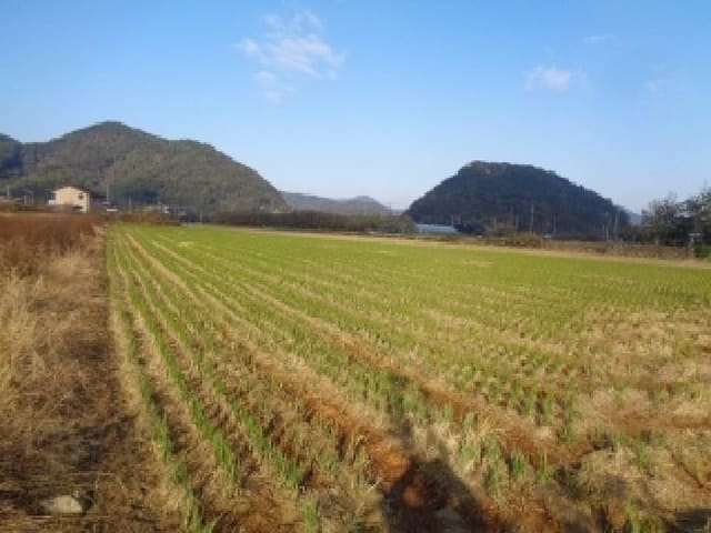 B000520202501300318353.jpg