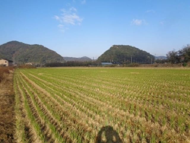 B000520202501300318354.jpg