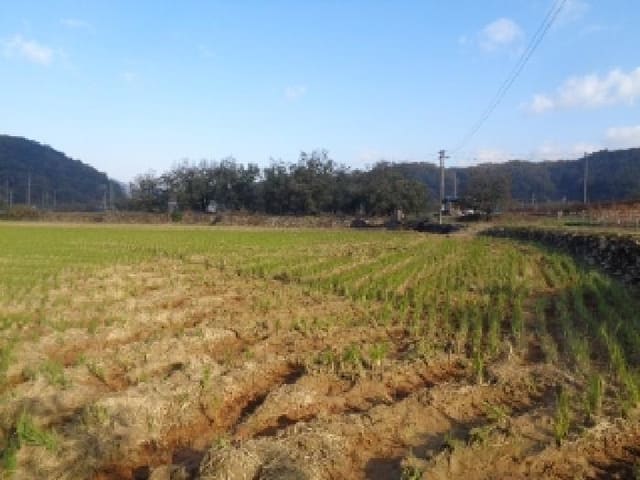 B000520202501300318352.jpg