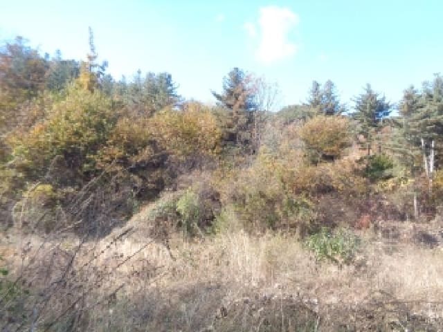 B000520202501300318881.jpg