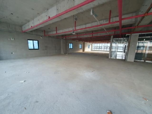B000520202501300318984.jpg