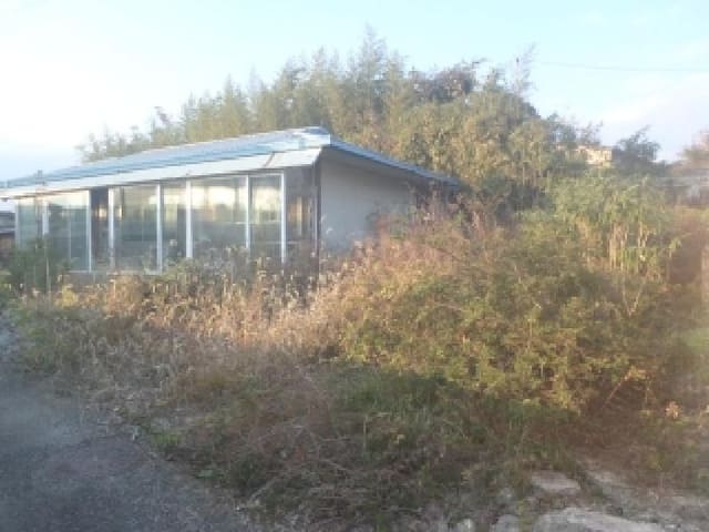B000520202501300319172.jpg