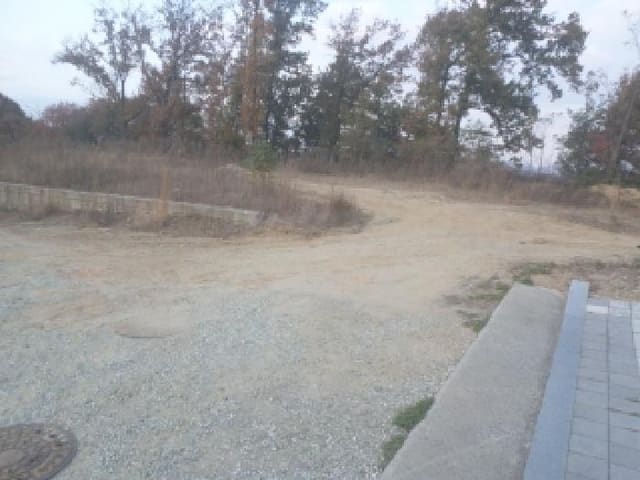 B000520202501300319174.jpg