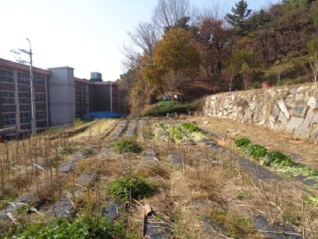 B000520202501300319264.jpg