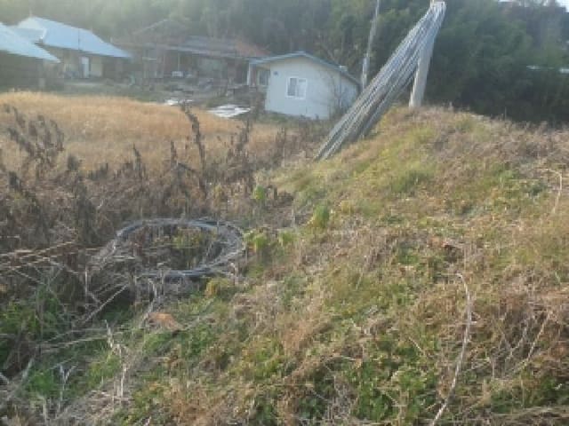B000520202501300319471.jpg