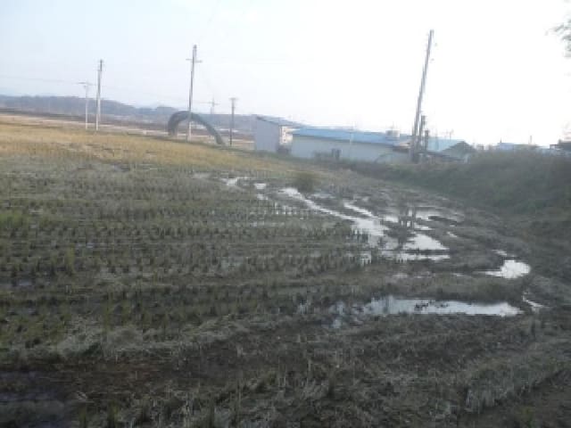 B000520202501300319473.jpg