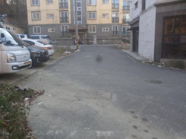 B000520202501300319812.jpg