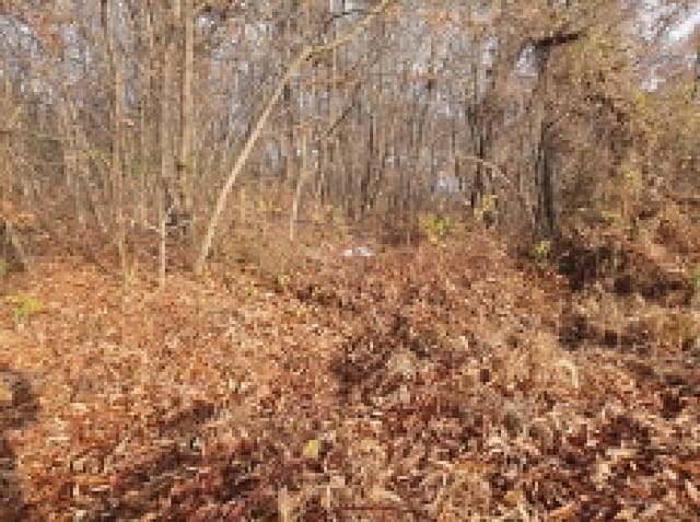 B000520202501300319872.jpg