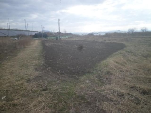 B000520202501300320332.jpg